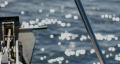 fishing turkey