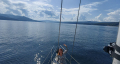 Shipman 28