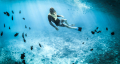 Diving Thailand